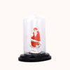 Sai Baba Idol