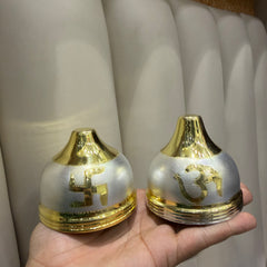 SHINING’s Silver Nariyal | 925 Pure Silver