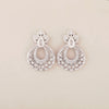 Exquisite 925 sterling silver earrings - Shining Silver.in
