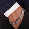 SSSAN2 - Shining Silver.in